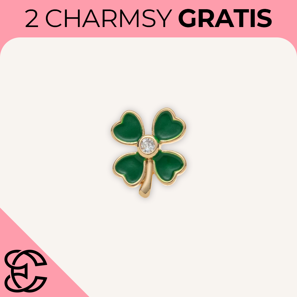 Charmsy do Naszyjnika "Locket"