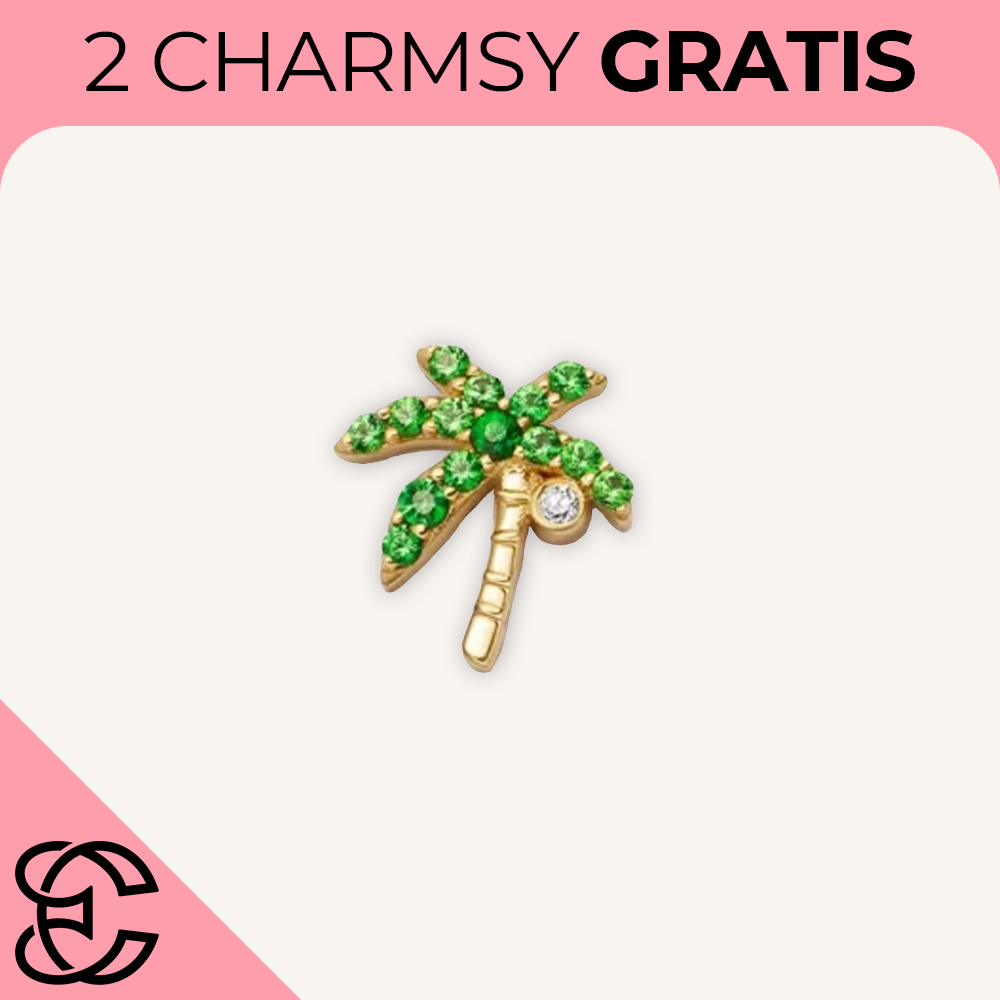Charmsy do Naszyjnika "Locket"