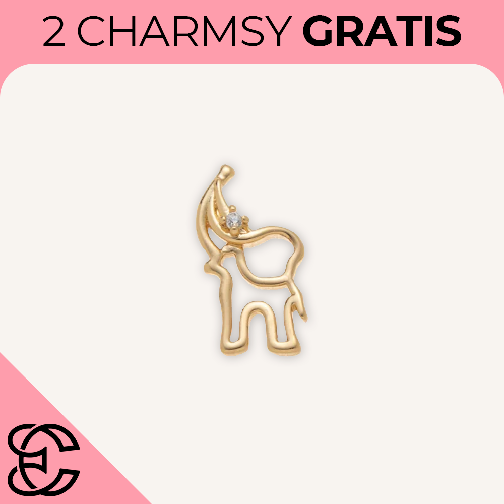 Charmsy do Naszyjnika "Locket"